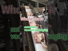 Máy đóng gói thực phẩm đông lạnh thịt Thép không gỉ loại thực phẩm 304/316